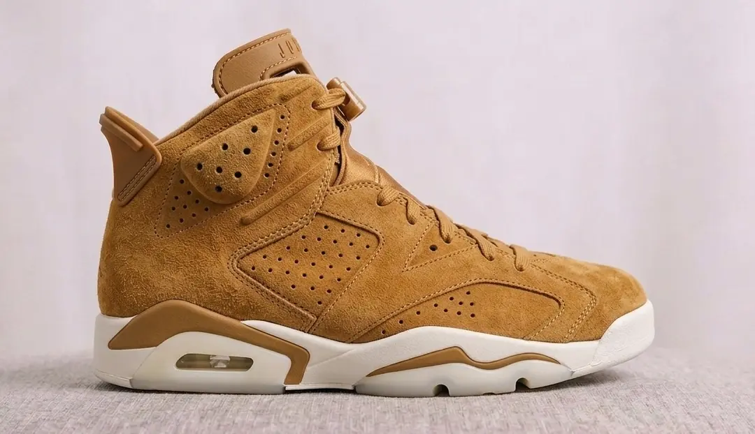 Air Jordan 6 Retro